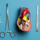 Num fundo azul claro, há instrumentos simples de cirurgia cardiovascular um do lado do outro e no centro temos um objetivo anatômico de um coração com transcateter