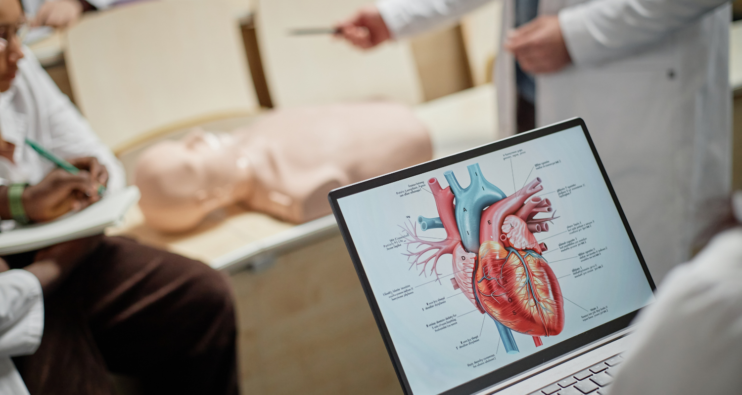 Imagem fechada de uma aula na especialização em cardiologia. No canto direito temos uma tela de notebook com a imagem de um coração e a descrição de sua anatomia. Ao fundo, um pouco desfocado, temos a imagem de um boneco para sessões práticas com um professor apontado para ele